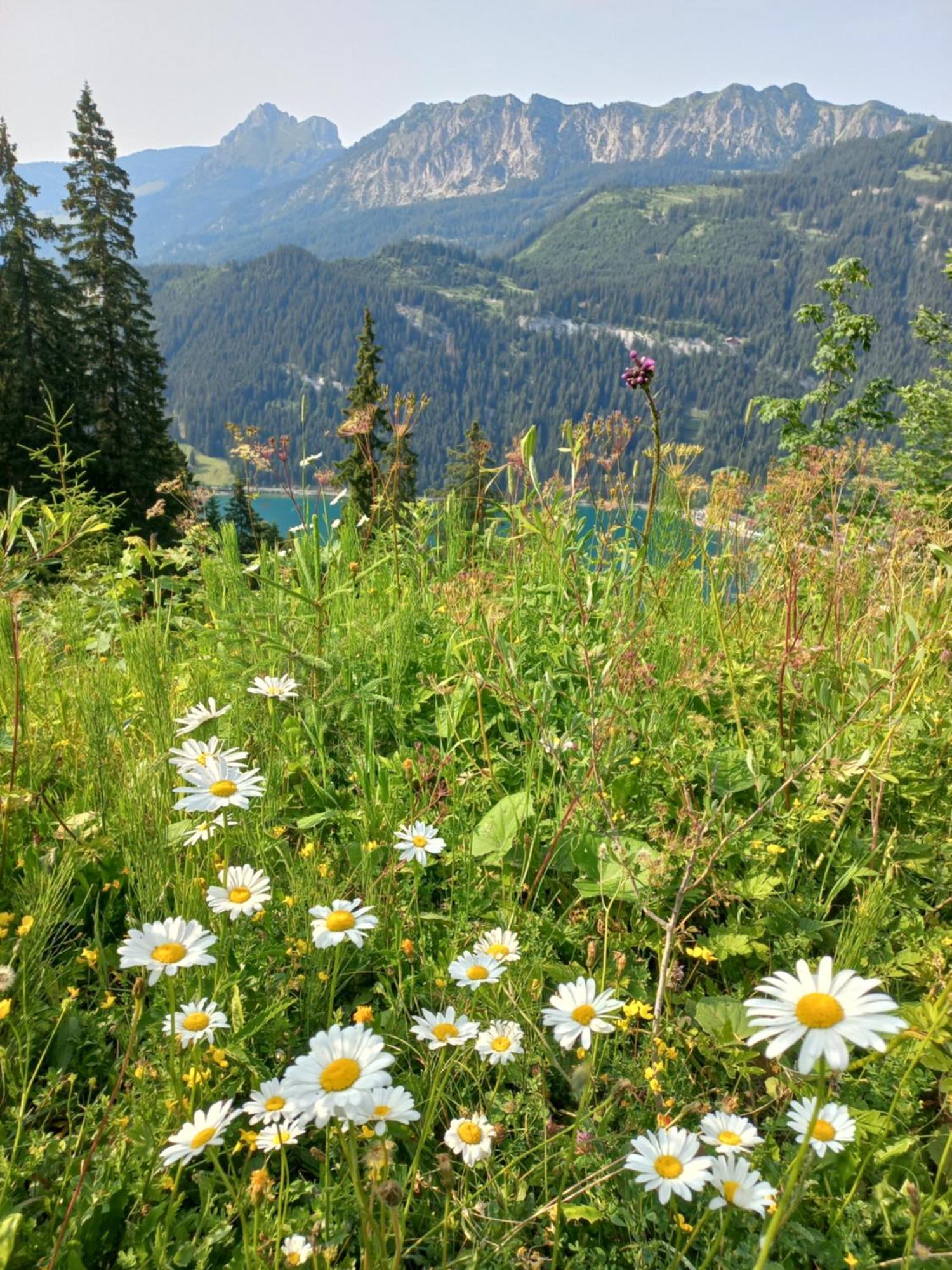 Am Schwand Apartment Grän Екстериор снимка